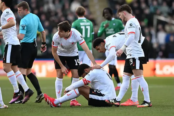 Hình ảnh đã tải lên