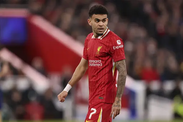 Hình ảnh đã tải lên