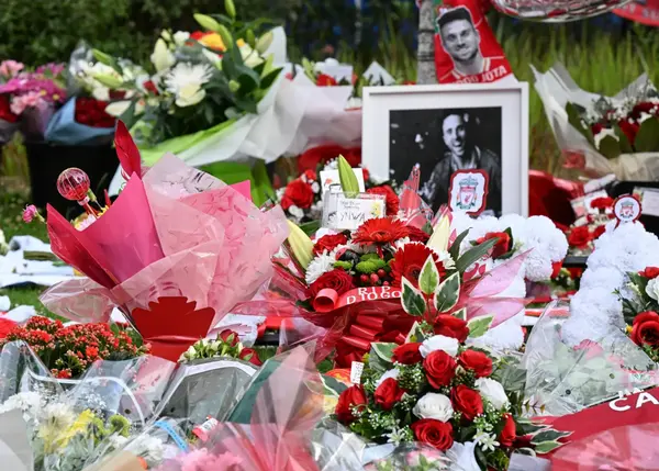 Hình ảnh đã tải lên