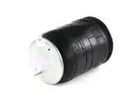 W01-358-8842 | Firestone Airide Air Spring | 1T15M-9