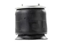 W01-358-9652 | Firestone Airide Air Spring | 1T15LP-3