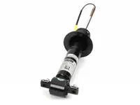 MR-3839 | Arnott Magnetic Shock | GM