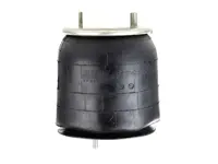 W01-358-9466 | Firestone Airide Air Spring | 1T15MT-6